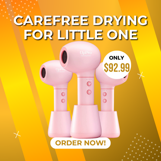 Cordless Baby Hair Dryer