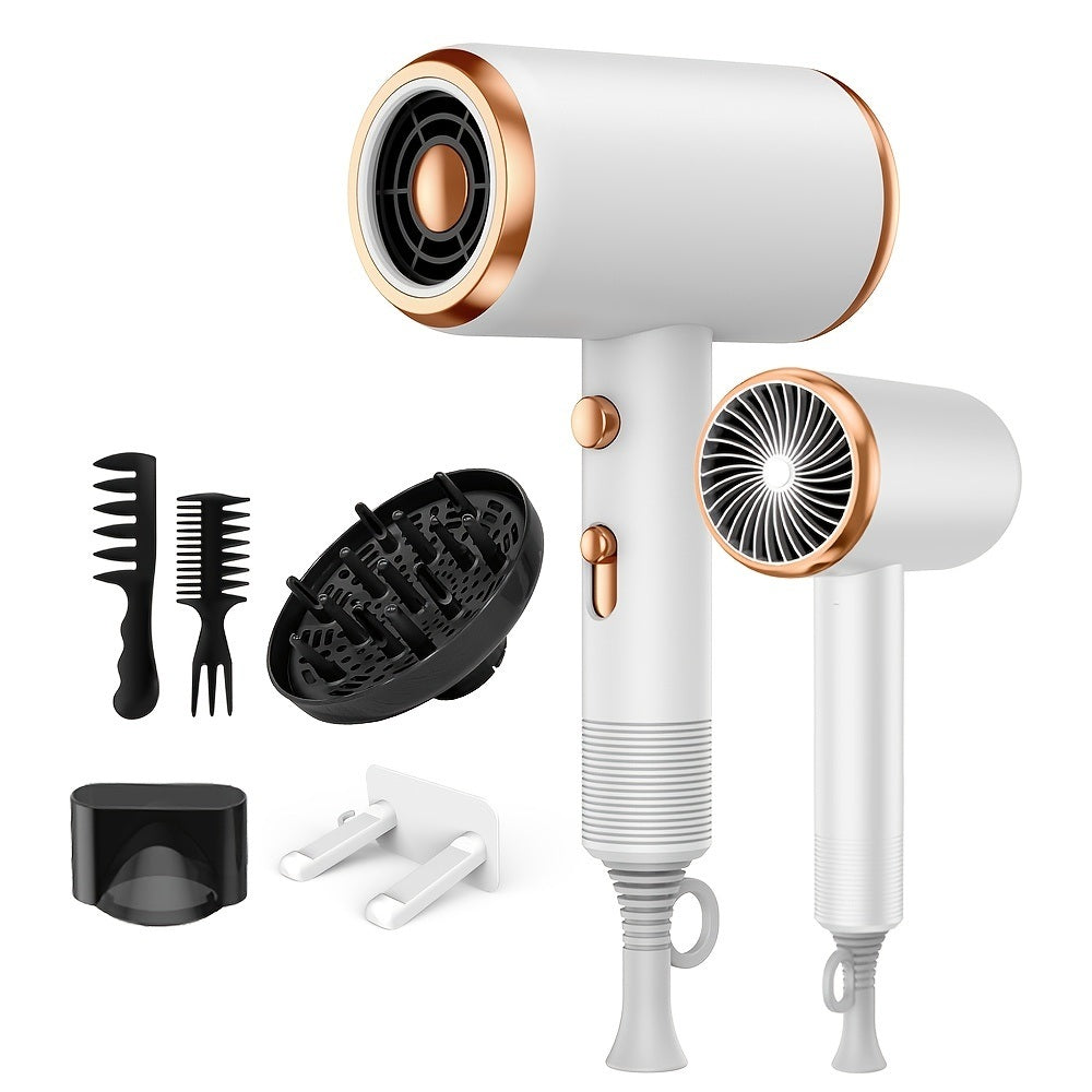 Professional Ionic Hair Dryer