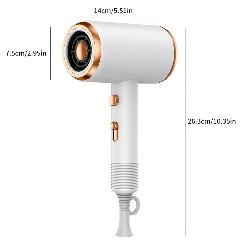 Professional Ionic Hair Dryer