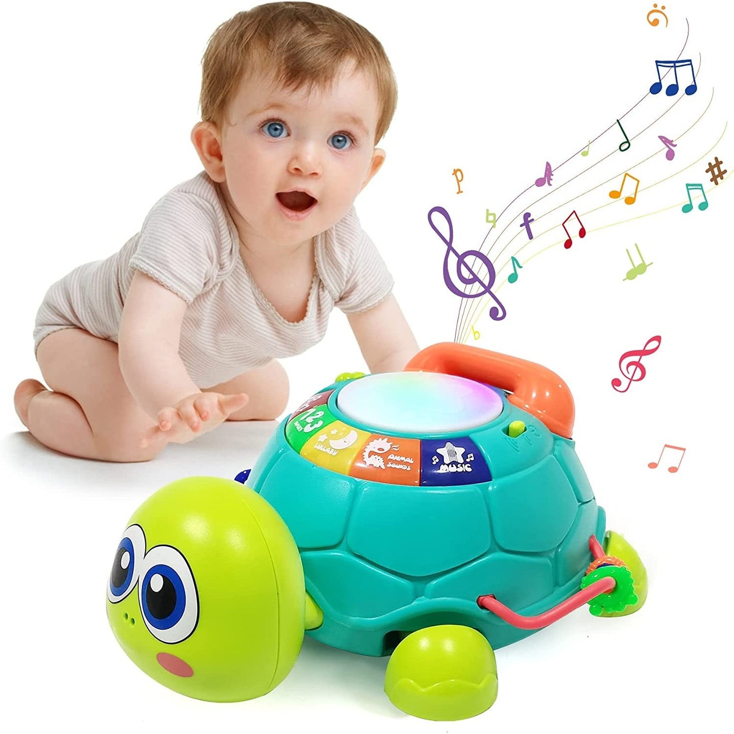 Musical Turtle