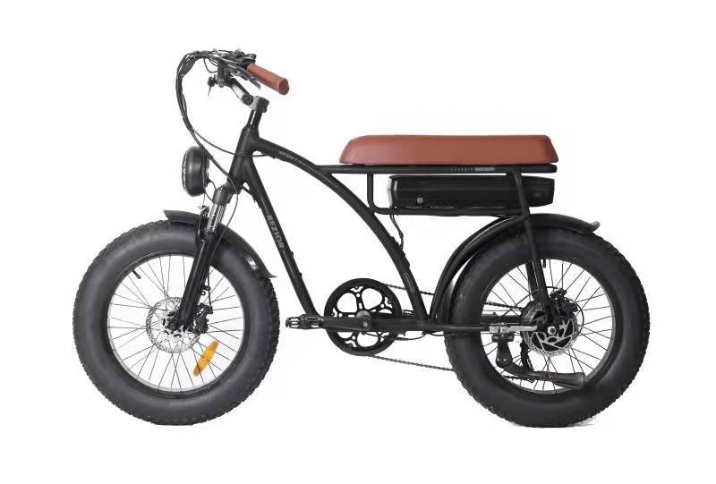 Bezior XF001 Electric Bicycle