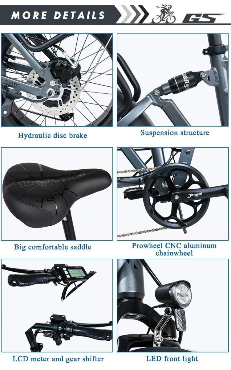 HedaTX-30 Electric Bicycle